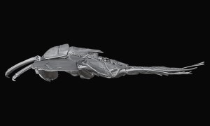 タガメの3Dイメージ