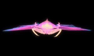 タガメの断層画像